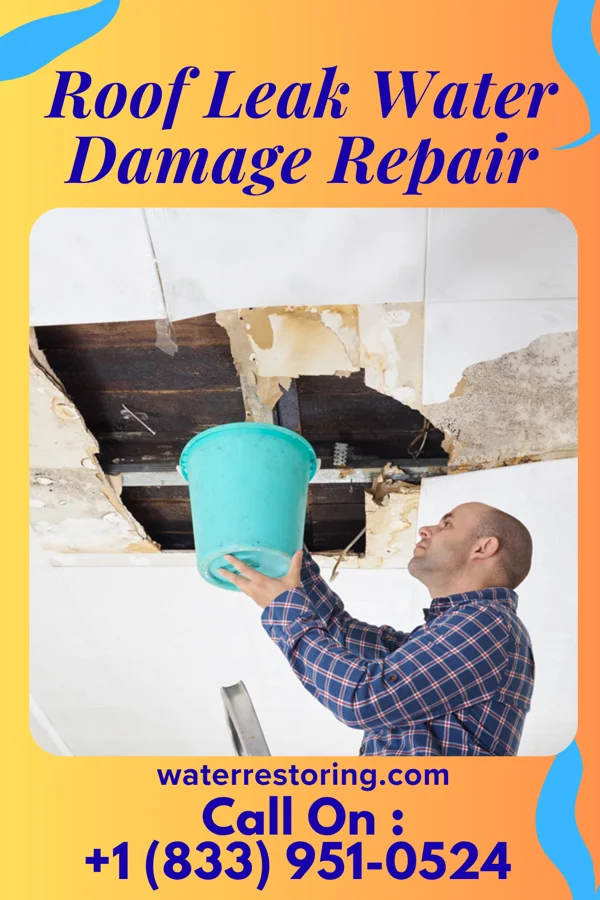Roof Leak Water Damage Repair in Waterloo, SC