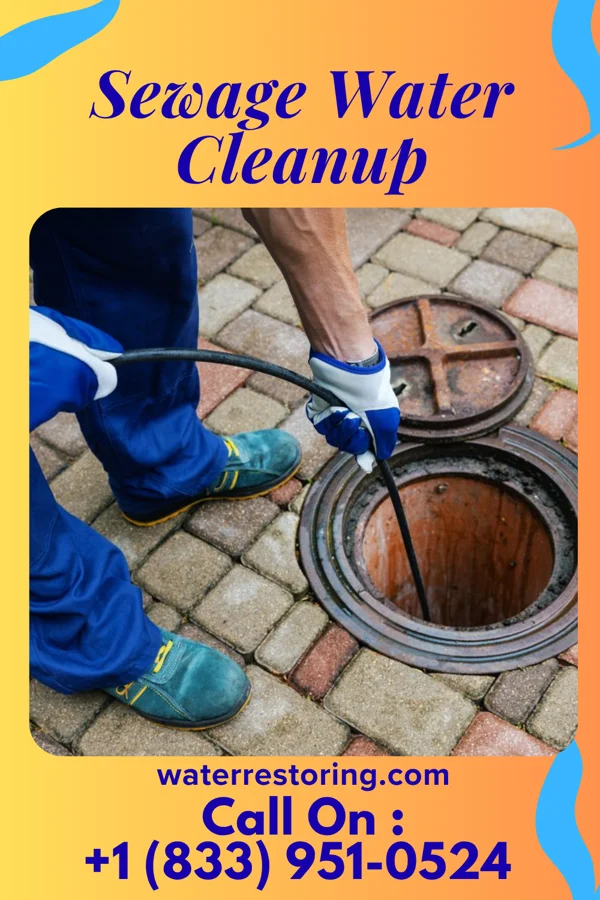 Sewage Water Cleanup in Waterloo, SC